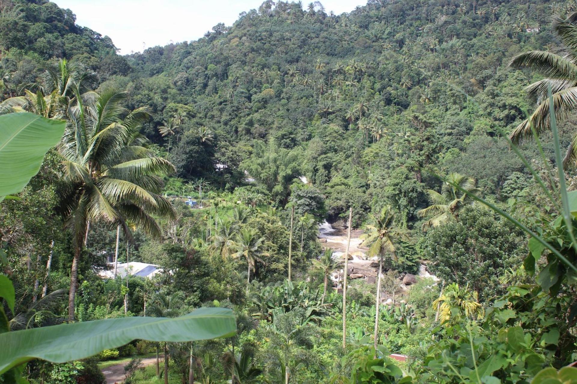 Village Homes Munnar